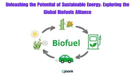 The Magical Transformation of Biofuels: From Field to Fuel